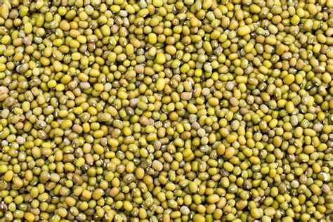 Green Gram - Buy Green Gram Whole Online - Jivabhumi