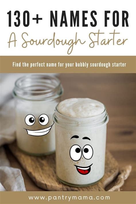 How Does Sourdough Starter Work? [science of sourdough] - The Pantry Mama