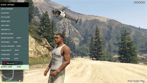 Script Hook V Version 1.0.335.2 的图像结果