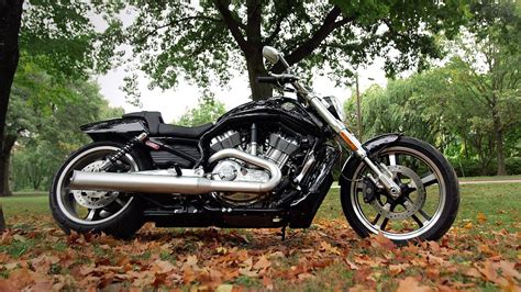 Image result for V-Rod Muscle Review