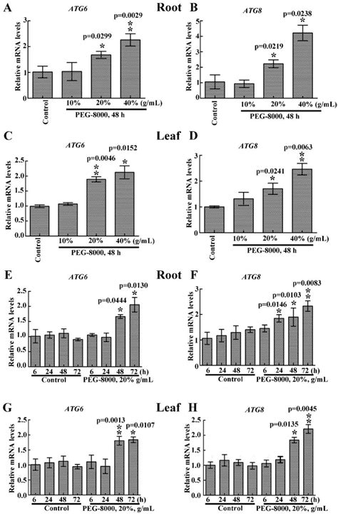 Autophagic Survival Precedes Programmed Cell Death in Wheat Seedlings ...