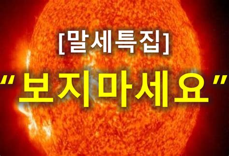 Image result for Lua Code Memes