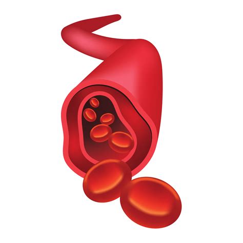 Blood Vessel Icon AI Generative 31607183 PNG
