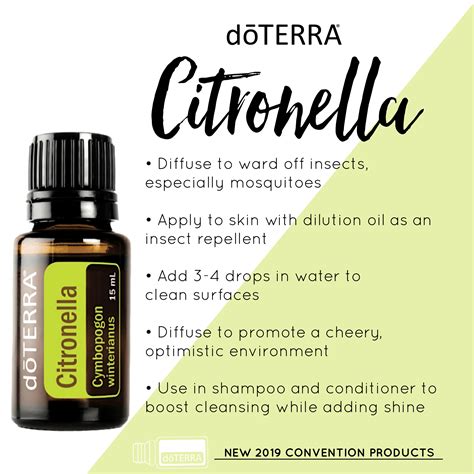 How To Use Cintronella Essential Oil | Doterra essential oils ...