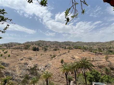 ‘It’s her job’: In water-starved Chambua near Udaipur, women are ...