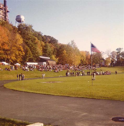 Crowned Sportsfield 的图像结果