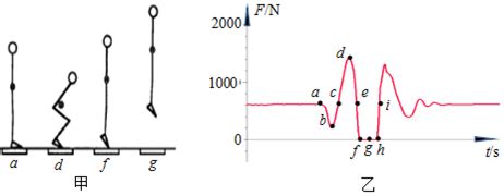 Image result for Parallel Projection Computer Graphics Examples