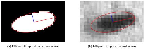 Multiple Drosophila Tracking System with Heading Direction