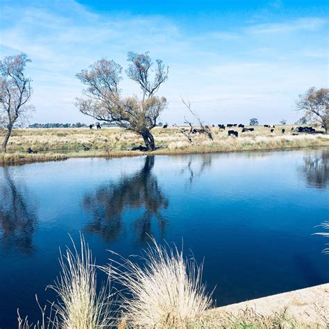 THE 10 BEST Places to Visit in Evandale (2026) - Must-See Attractions