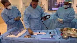 3 Best Cardiologists in Chennai, TN - Expert Recommendations