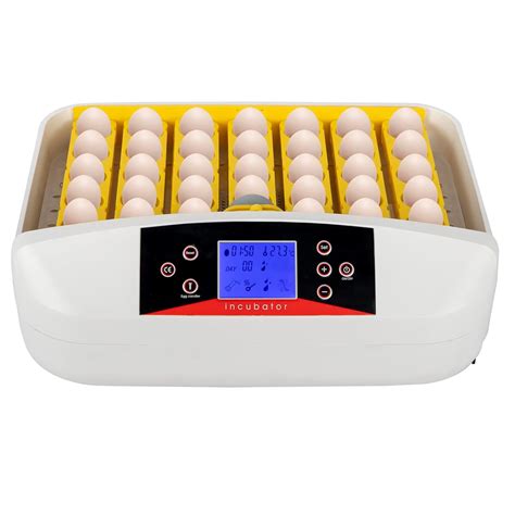 Buy Practical Poultry Incubator Fully Automatic Egg Incubator with Egg ...