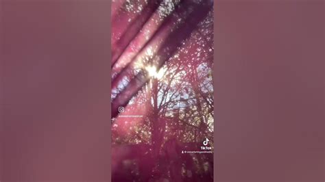 Image result for Back Yard EOS Tutorial