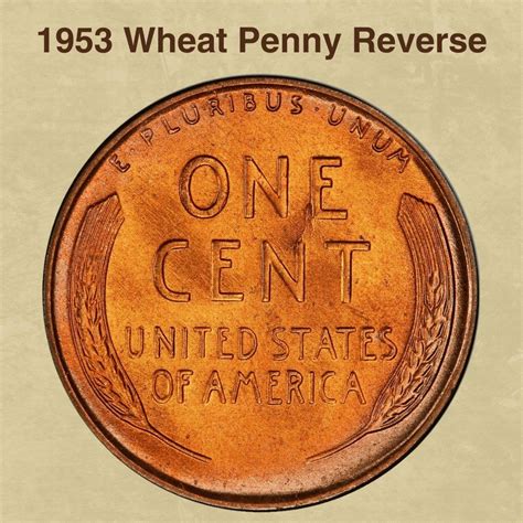 1953 Wheat Penny Coin Value (Errors List, "D", "S" & No Mint Mark Worth ...