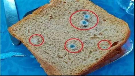 Expired bread butter served to passengers on Mumbai-Ahmedabad Shatabdi ...