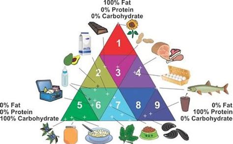The Science and Politics Behind Nutrition Facts Labels Explained