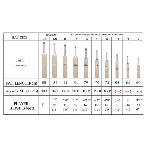 SG Ibat Narrow Blade Training Cricket Bat – Prokicksports