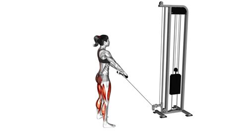 Image result for Cable Machine Hamstring Exercises