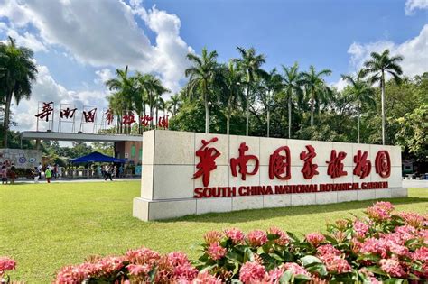 华南国家植物园正式挂牌：成第二个“国家队”成员，兼具国家代表性和社会公益性 - 21经济网