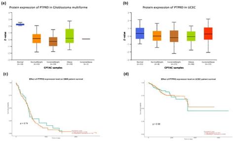 In Silico and In Vitro Mapping of Receptor-Type Protein Tyrosine ...