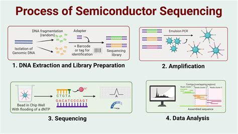 Image result for Solid Sequencing Explained