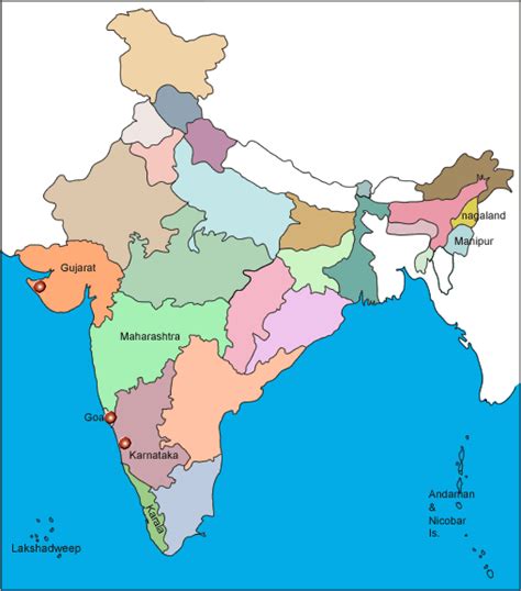 Sargasuum tenerrimum