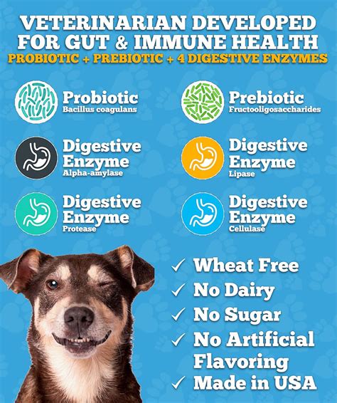 Can Too Much Probiotic Cause Diarrhea In Dogs at Carlos Pratt blog