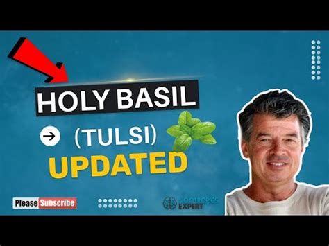 Holy Basil (Tulsi) - Healing Herbs