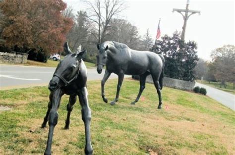 Bellevue Tourism (2024): All You Need to Know Before You Go
