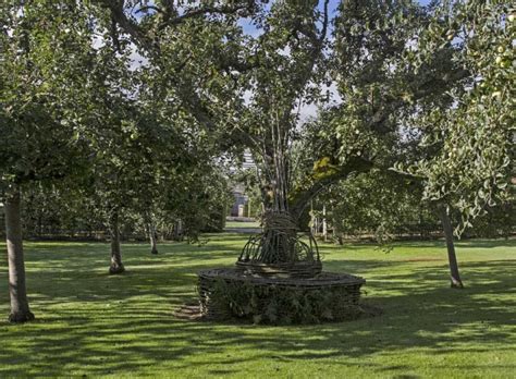 The History of Landscape Design in 100 Gardens - Linda A. Chisholm ...