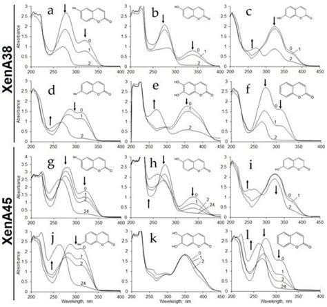 The First Step of Biodegradation of 7-Hydroxycoumarin in Pseudomonas ...