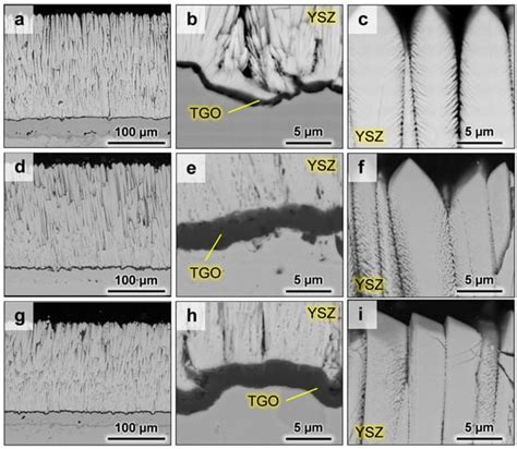Thermal Insulation of YSZ and Erbia-Doped Yttria-Stabilised Zirconia EB ...