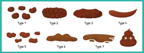 Image result for Normal Poop Images