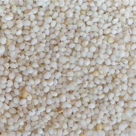 Buy Kodo Millet Rice (Varagu Arisi Kodra-Arikelu-Harka) 500gms online ...