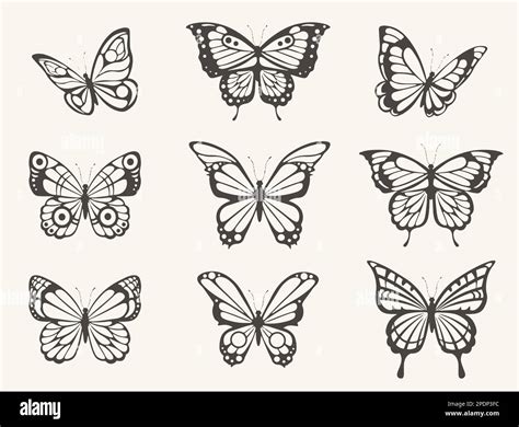 Image result for Hand Drawn Simple Butterfly