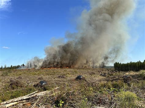 Pierce County steps up burn ban as fires rage in nearby communities ...