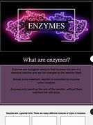 Image result for Enzymes