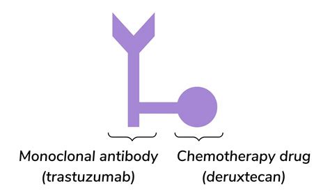 Enhertu for Secondary Breast Cancer: Science and Stories - OWise UK