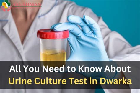 All You Need to Know About Urine Culture Test in Dwarka