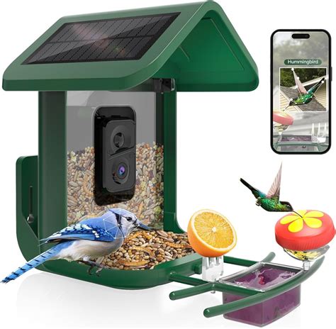 Amazon.com : Bird Feeder with Camera Solar Powered : Smart Camera Bird ...