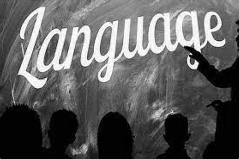 In Delhi, an Institute to Conserve and Develop Kashmiri Language ...