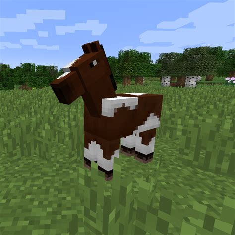 Different Types Of Horses In Minecraft at James Madrigal blog