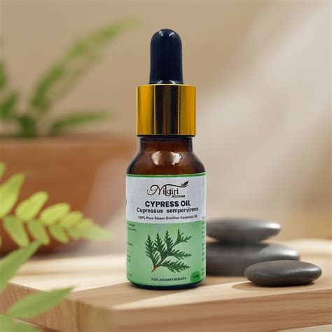 Cypress Essential Oil for Varicose Veins: Does It Really Help?