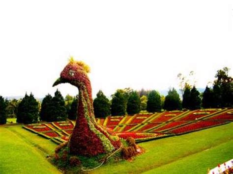 Nusantara - JungleKey.in Image