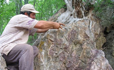 The Mining and Exploration News in Mexico: Highlights on the First Week of May, 2024 | Gambusino ...