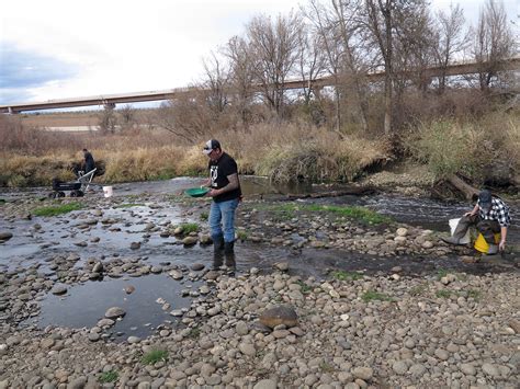 Gold Panning in Colorado: Here's How to Get Started