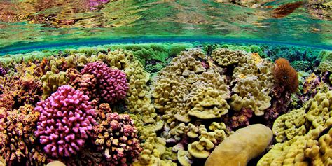 Pacific Ocean Underwater