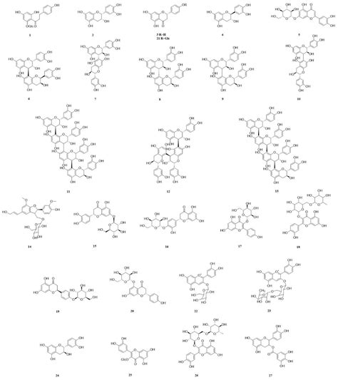 Research Progress in Traditional Applications, Phytochemistry ...