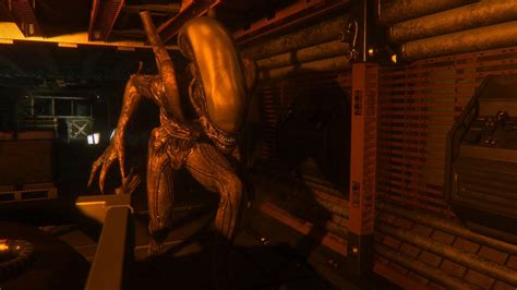 Image result for Alien Isolation Lost