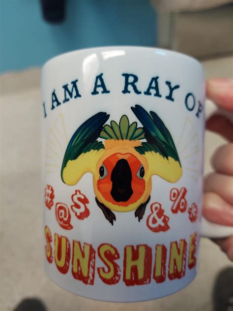 Image result for Fancy Conure