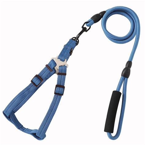Kuber Industries Dog Harness and Leash Set, Blue : Amazon.in: Pet Supplies